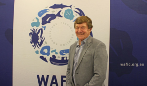 Screen Shot 2018-12-05 at 2.30.42 PM