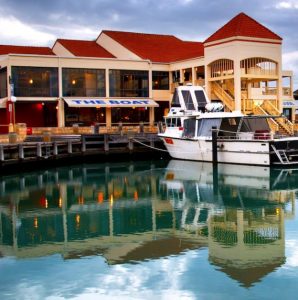 Screen Shot 2019-02-28 at 2.48.49 PM