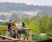 Bickley Harvest Festival